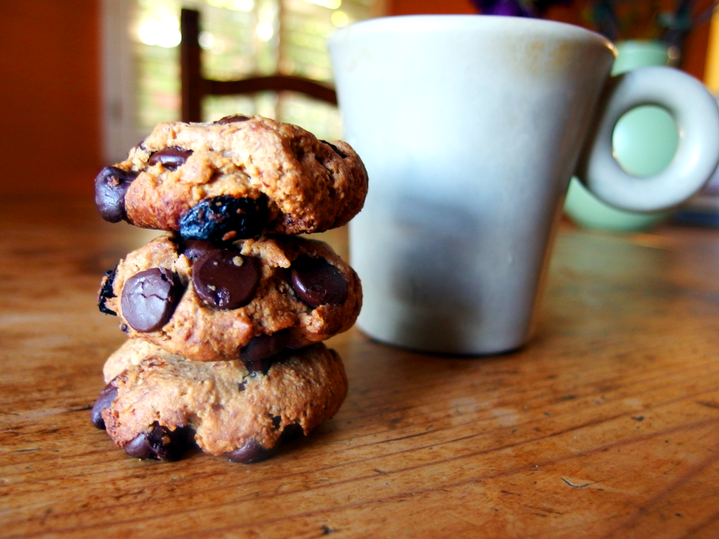 PaleoChocolateChipCookies
