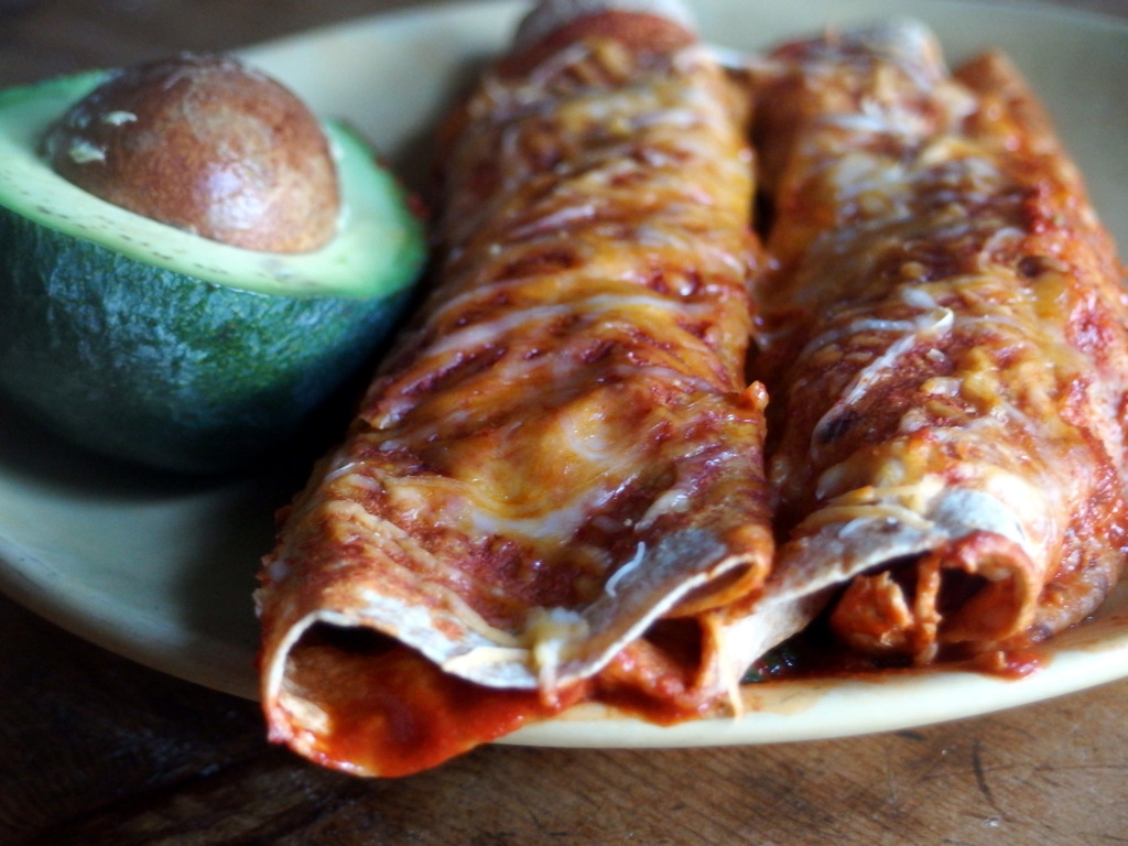 Lightened Up Chicken Enchiladas | danicaliforniacooks.com