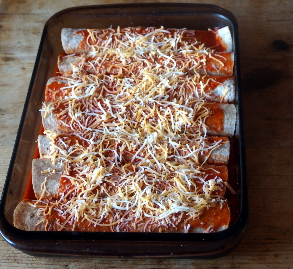 Lightened Up Chicken Enchiladas | danicaliforniacooks.com
