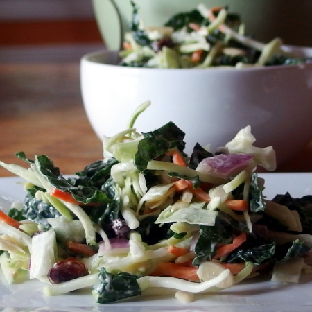 Apple Cider Vinegar Coleslaw with Almonds and Raisins | danicaliforniacooks.com