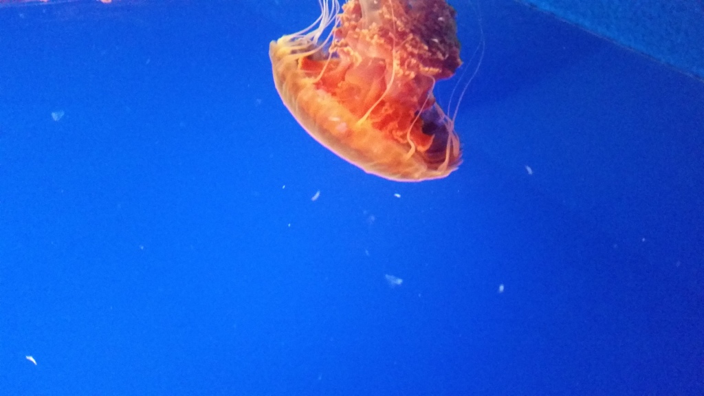 20150130_152121