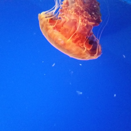 24 Hours in Monterey, CA