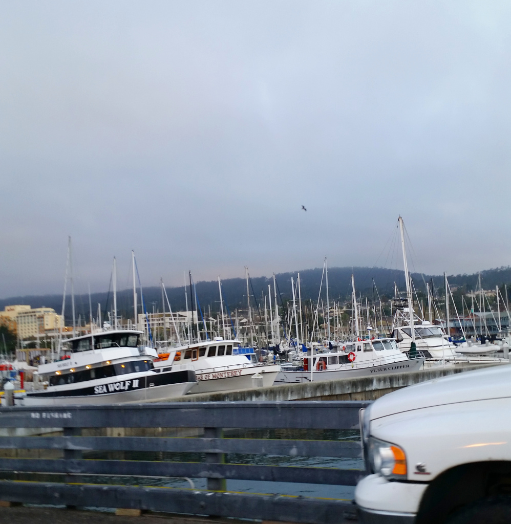 boats