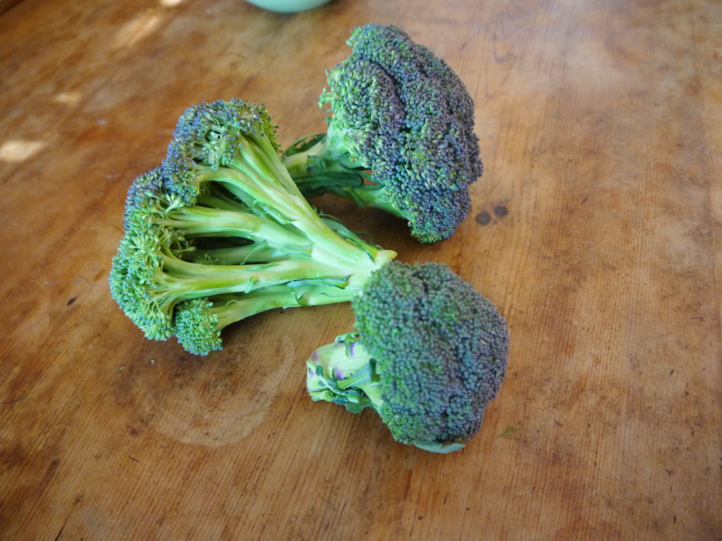 Paleo Creamy Broccoli Soup | danicaliforniacooks.com