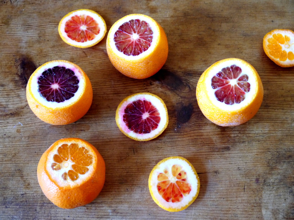 Citrus and Fennel Salad | danicaliforniacooks.com