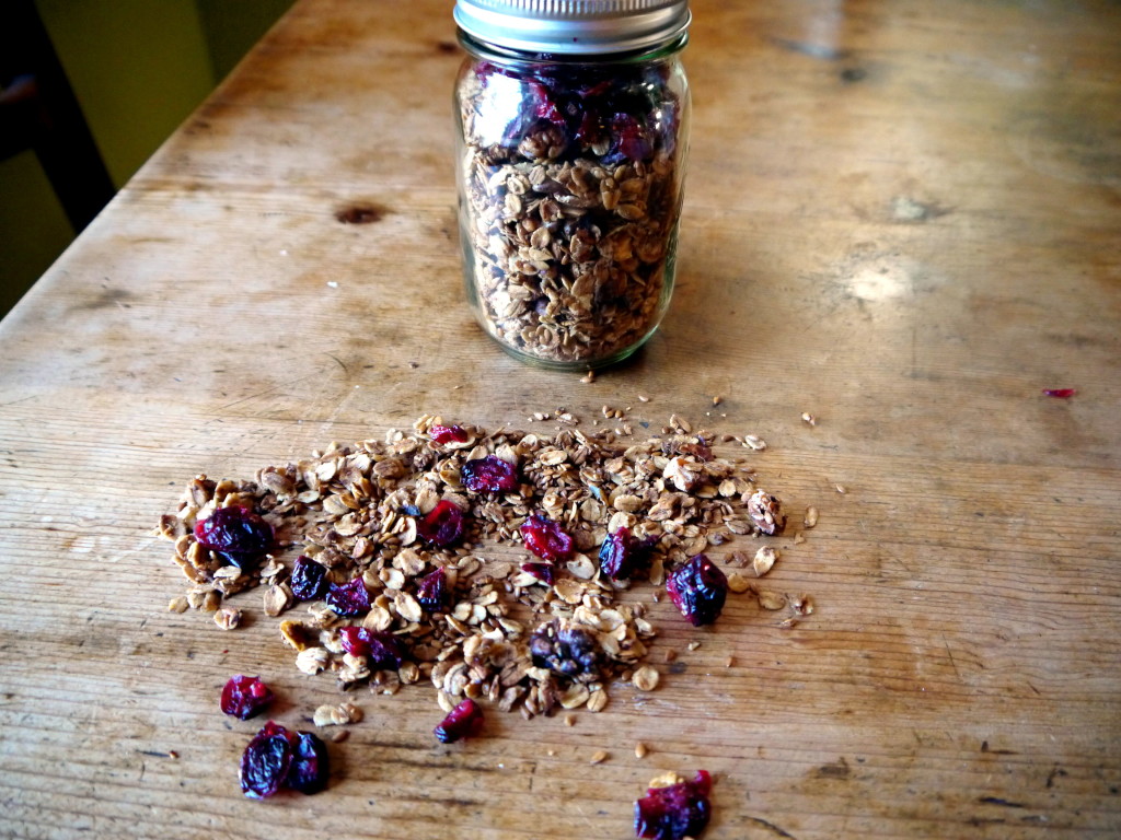 Cranberry Walnut Granola with Flax Seeds | danicaliforniacooks.com