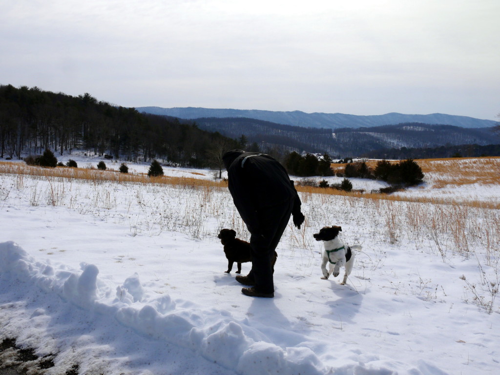 farmandogs