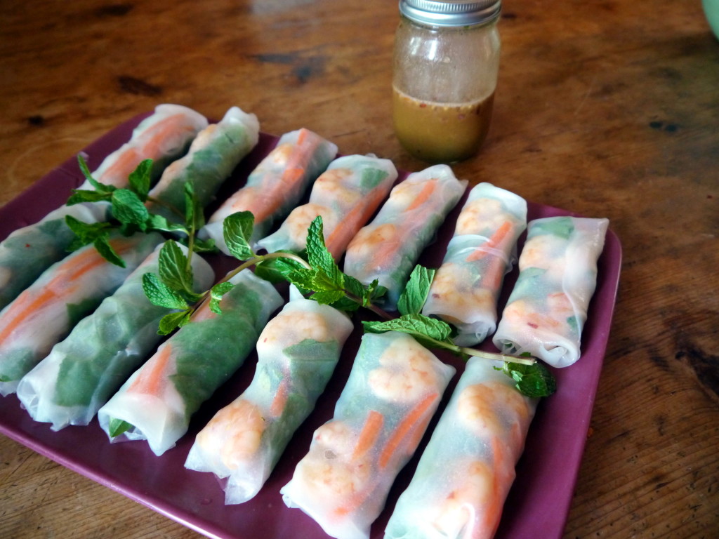 Fresh Shrimp Spring Rolls with Peanut Dipping Sauce | danicaliforniacooks.com