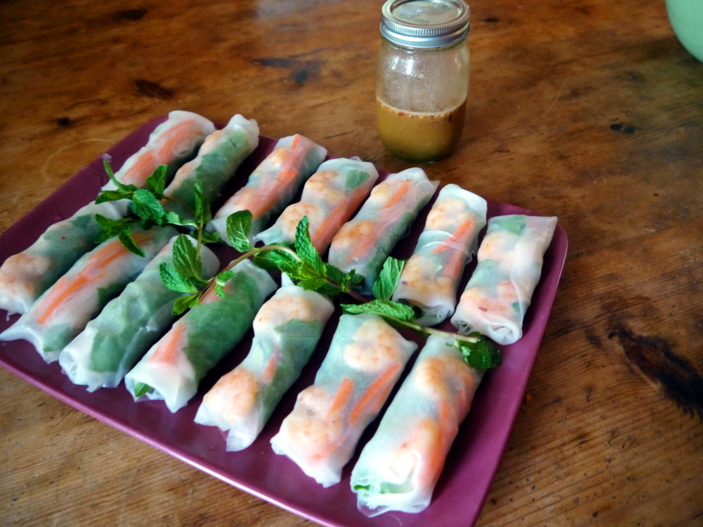 Fresh Shrimp Spring Rolls with Peanut Dipping Sauce | danicaliforniacooks.com