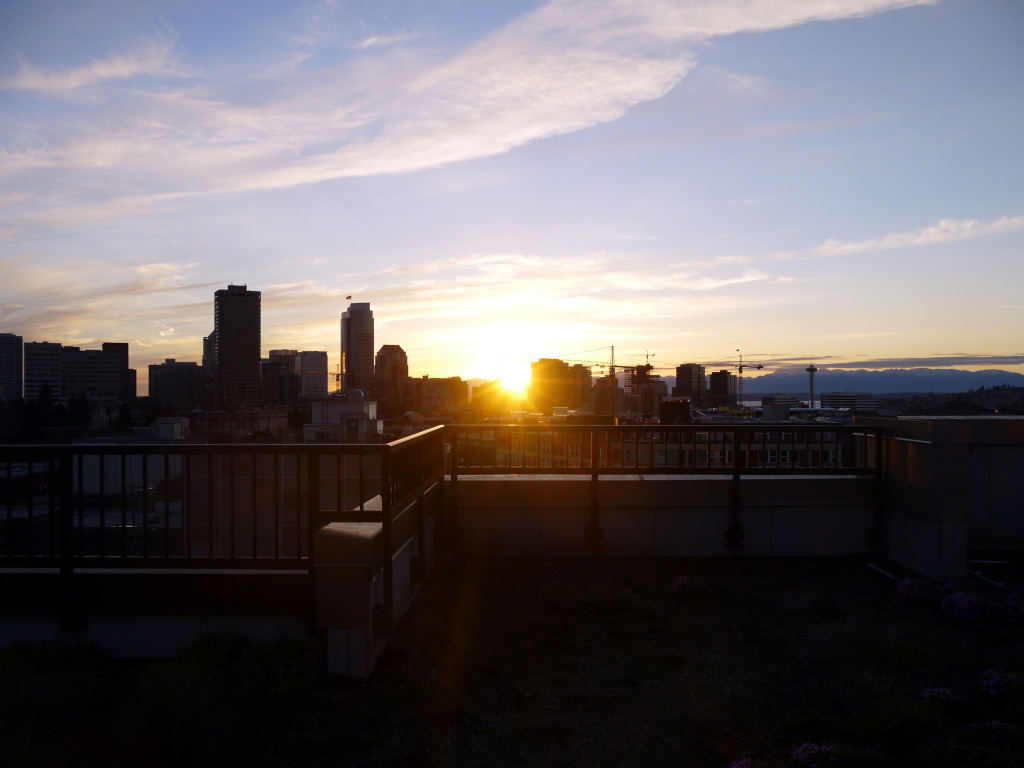 view