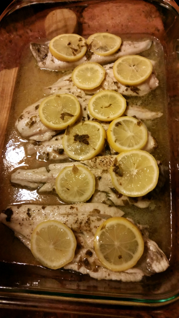 fish3