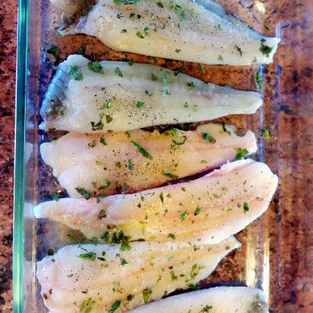 fish6