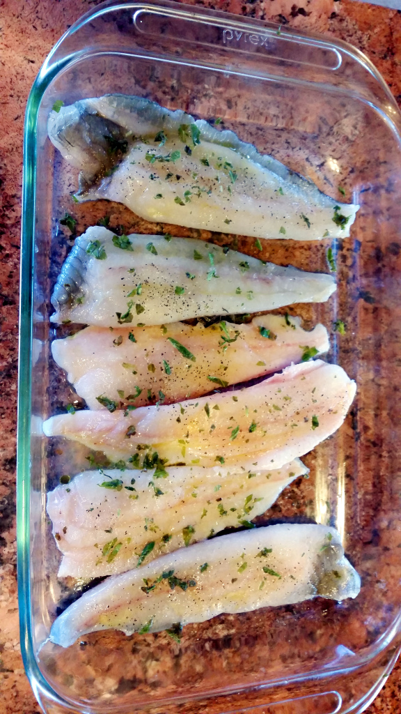 fish6