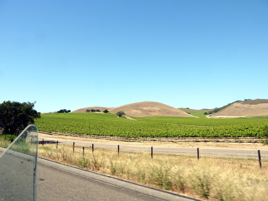 wineountry