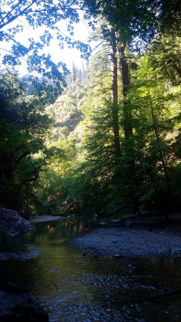 bigsur4