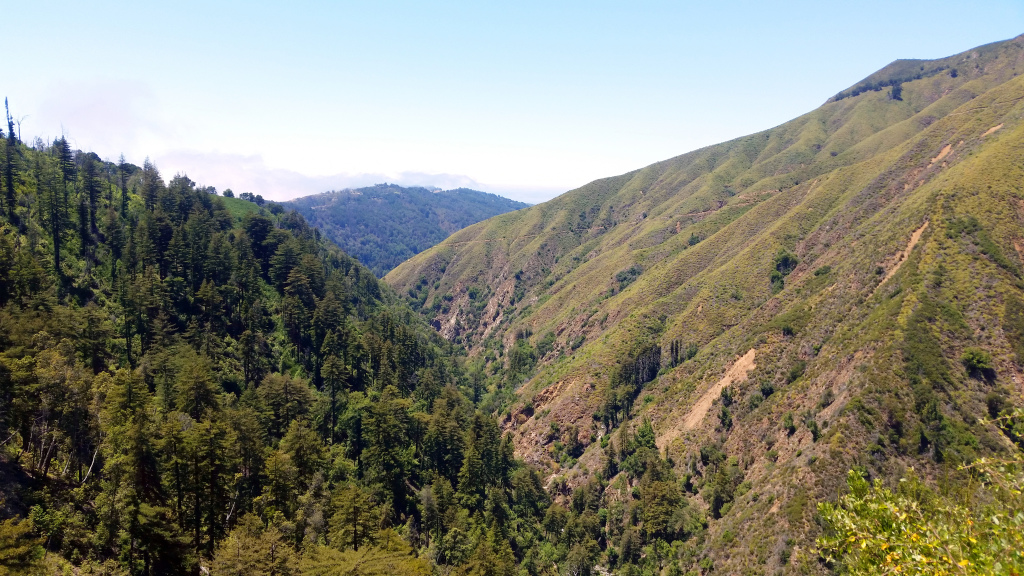 bigsur7