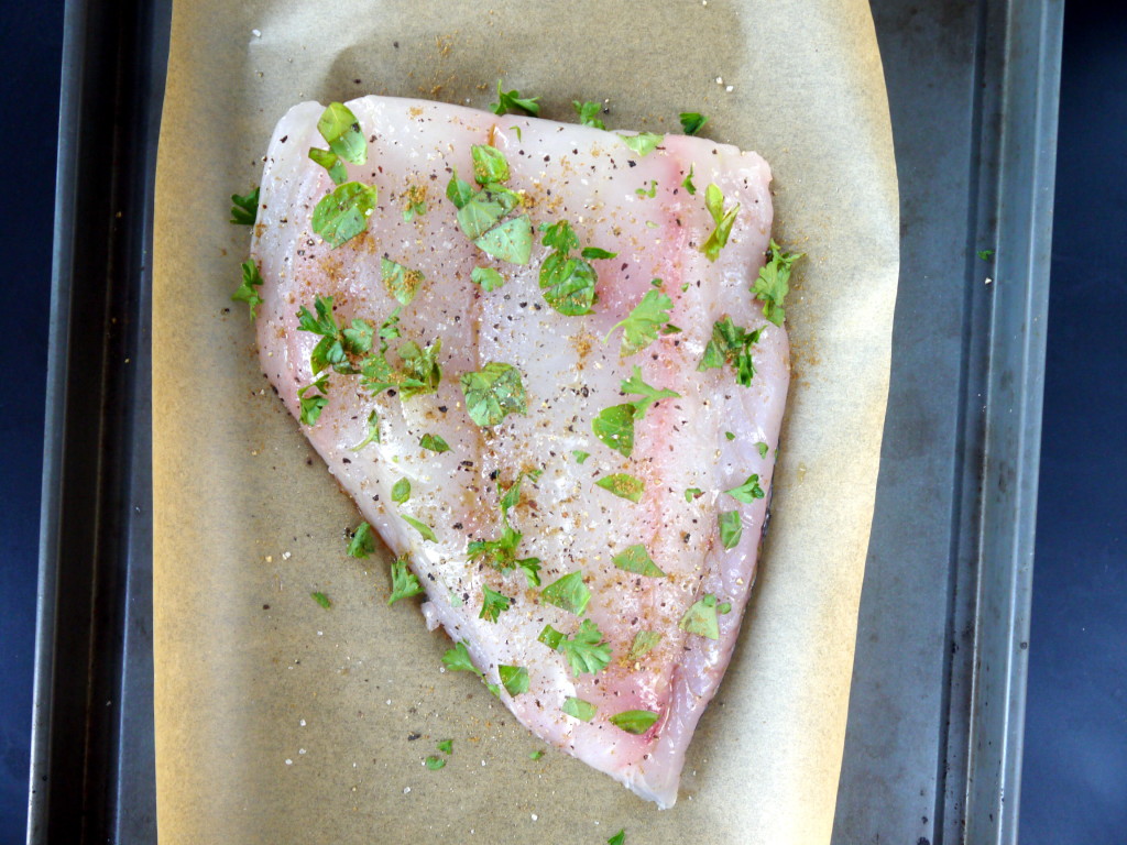 fish5