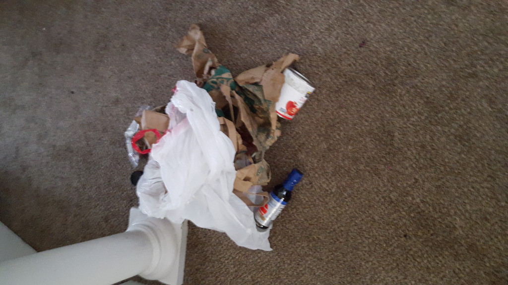 Even the trash bag disintegrated by the time I got home!